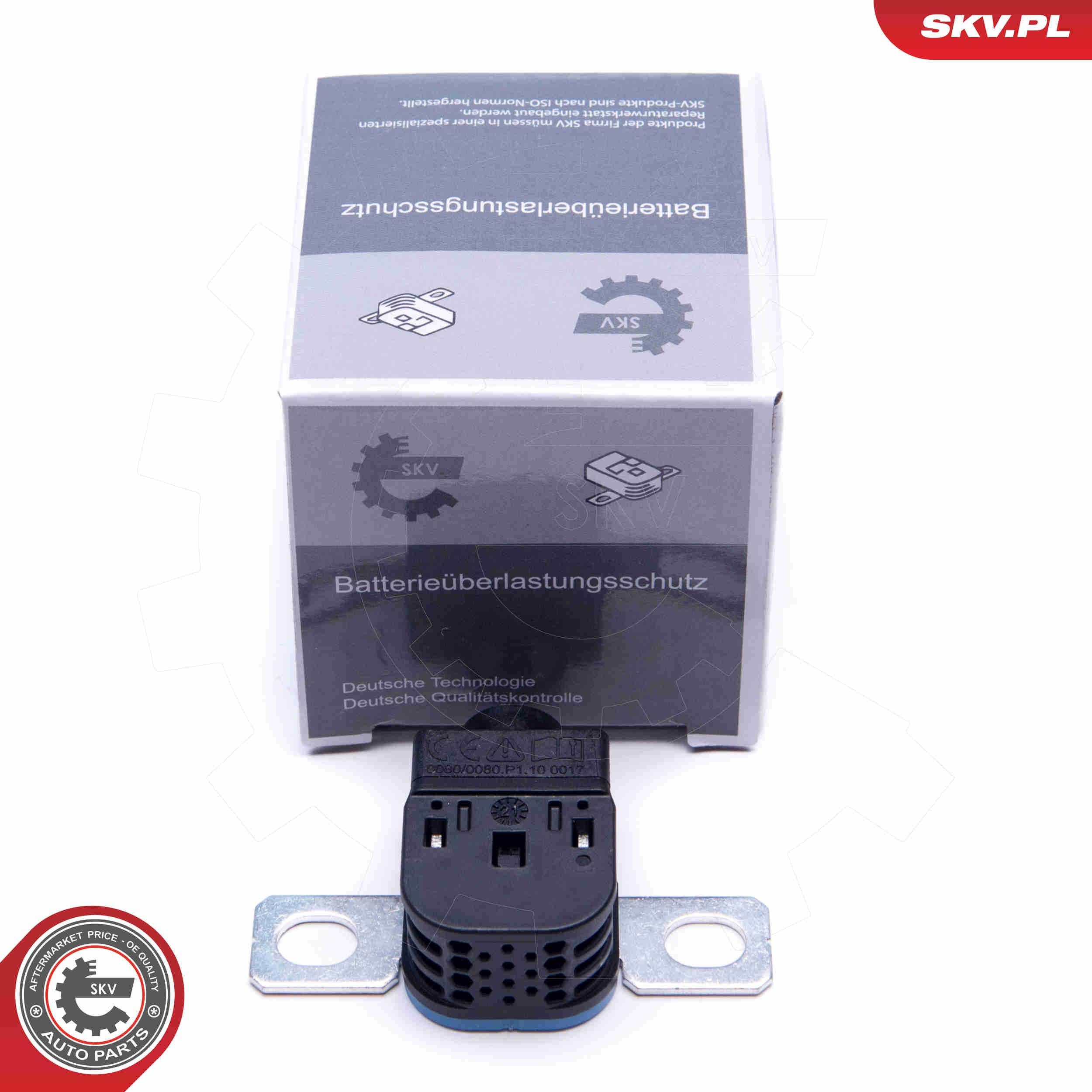 Купить 96SKV317 SKV 