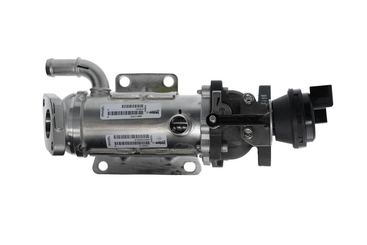 Радиатор системы EGR рециркуляции выхлопных газов VALEO 818791 цена, от 187.39 USD