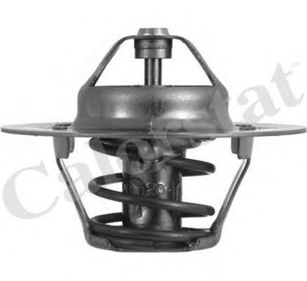 Термостат в сборе Vernet TH460888J