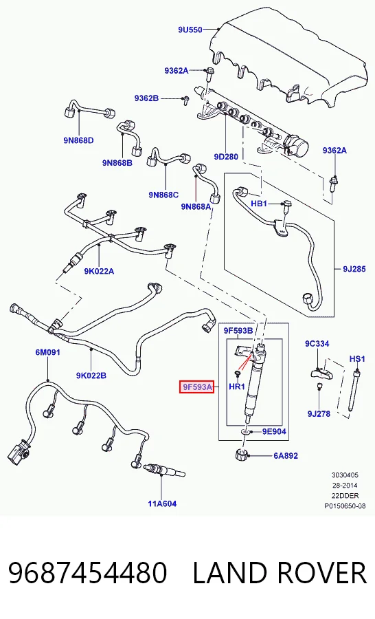 9687454480 Jaguar Топливные форсунки