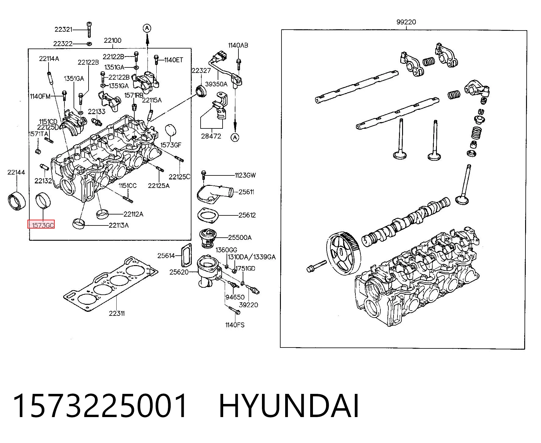 1573225001 Hyundai/Kia Заглушка двигателя