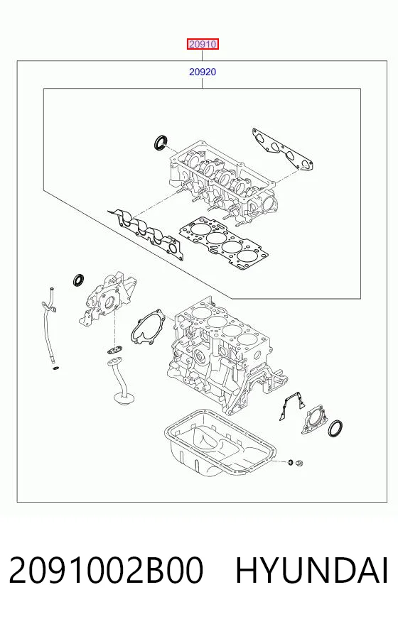 2091002B00 Hyundai/Kia Комплект прокладок на двигатель