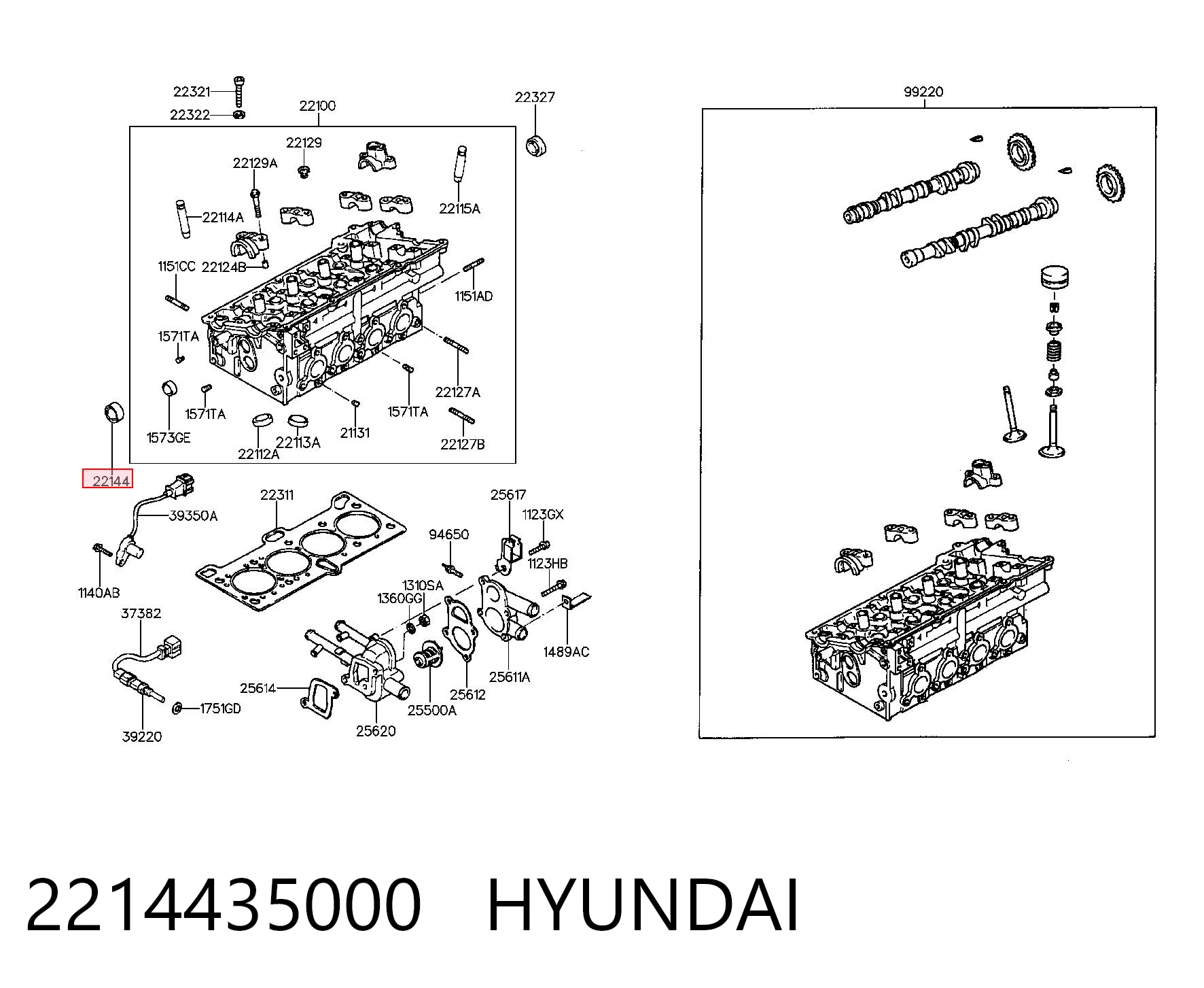 2214435000 Hyundai/Kia Сальник двигателя, распредвала