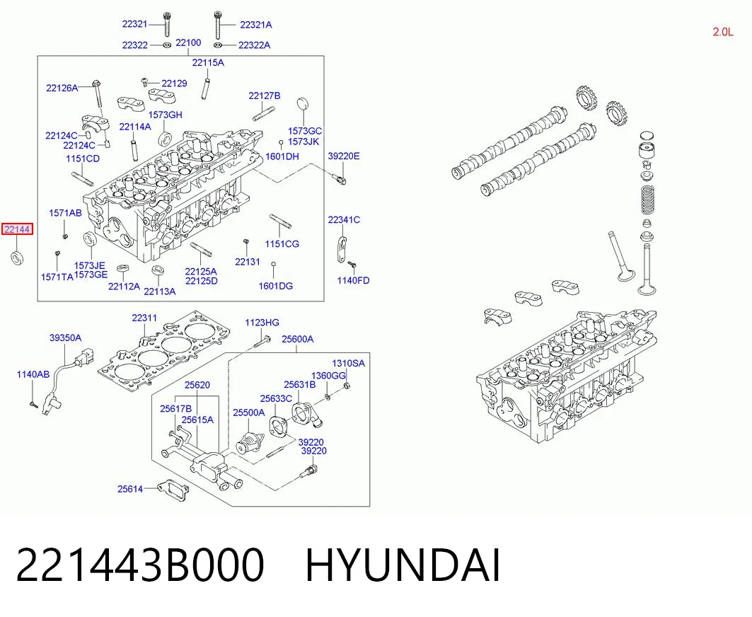 221443B000 Hyundai/Kia Сальник двигателя, распредвала