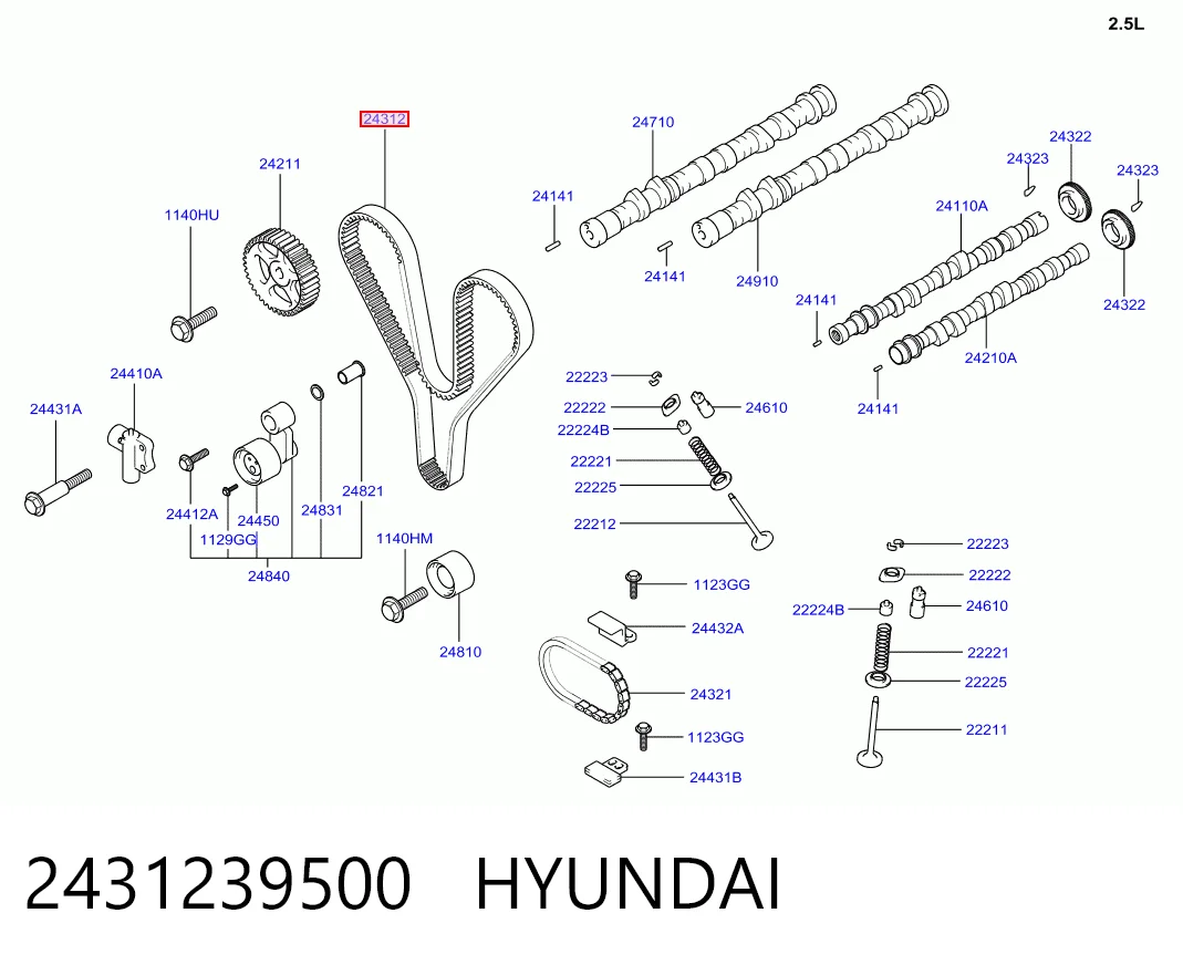 ГРМ ремни Dayco 2431239800