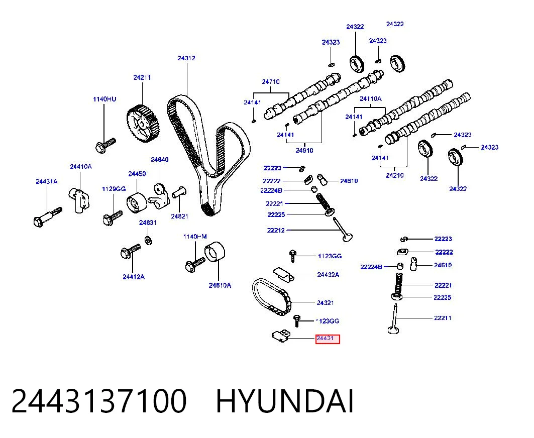 2443137100 Hyundai/Kia Успокоитель цепи ГРМ, нижний