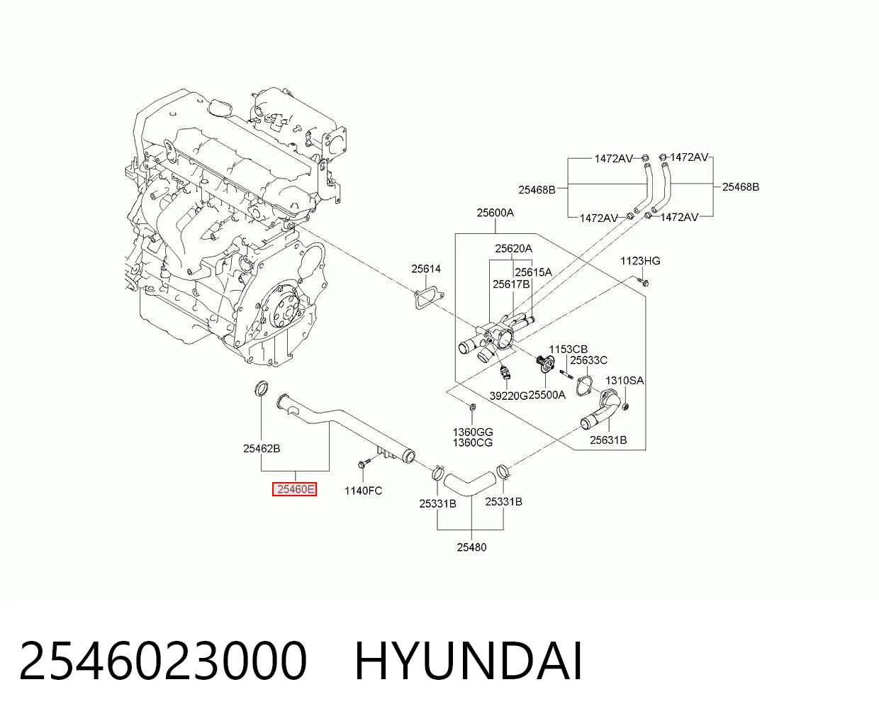 2546023000 Hyundai/Kia Шланг (патрубок) водяного насоса приемный