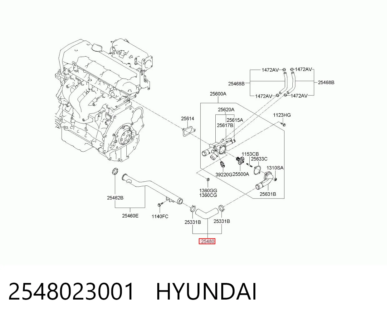 2548023001 Hyundai/Kia Шланг (патрубок) термостата
