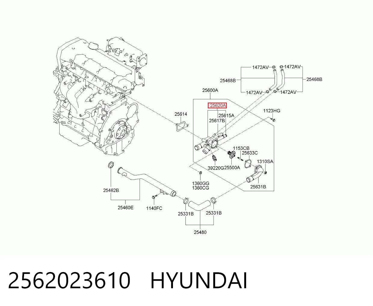 2562023610 Hyundai/Kia Корпус термостата в сборе