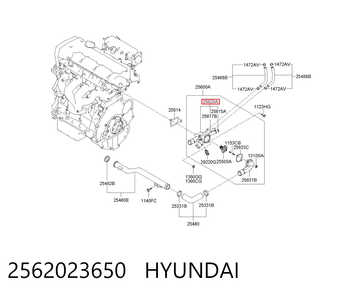 2562023650 Hyundai/Kia Корпус термостата в сборе