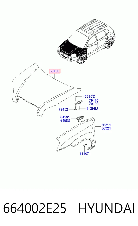 Купить HN20029A TYG Капот