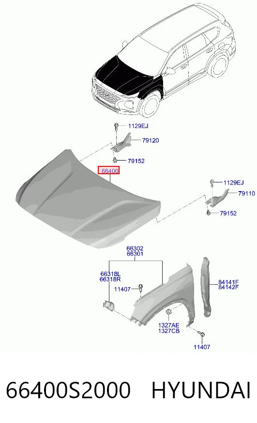 Капот на Hyundai Santa Fe IV TM, TMA
