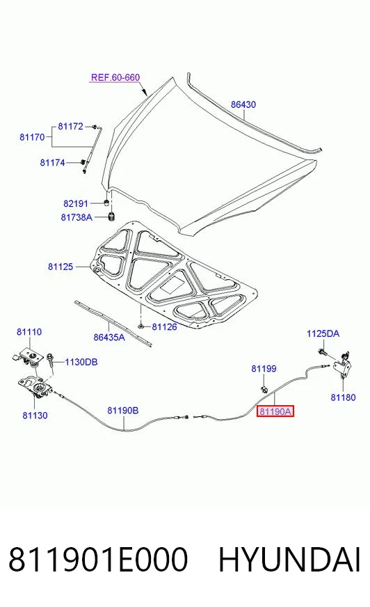 811901E000 Hyundai/Kia Трос открывания капота задний