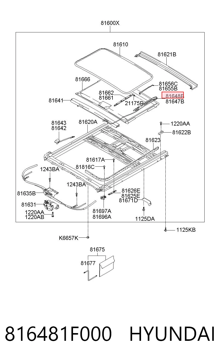 816481F000 Hyundai/Kia 
