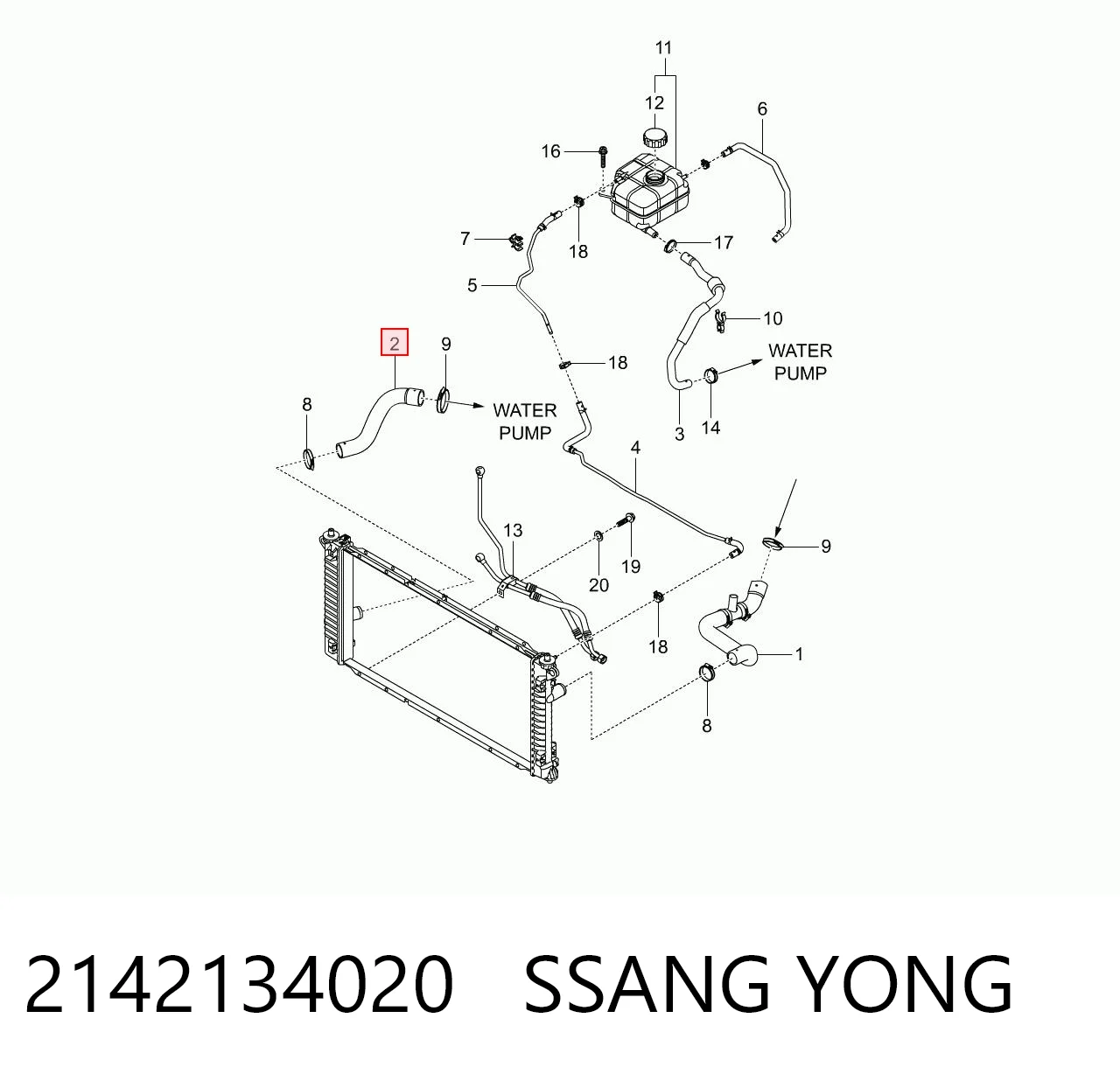 2142134020 Ssang Yong Патрубок радиатора охлаждения нижний