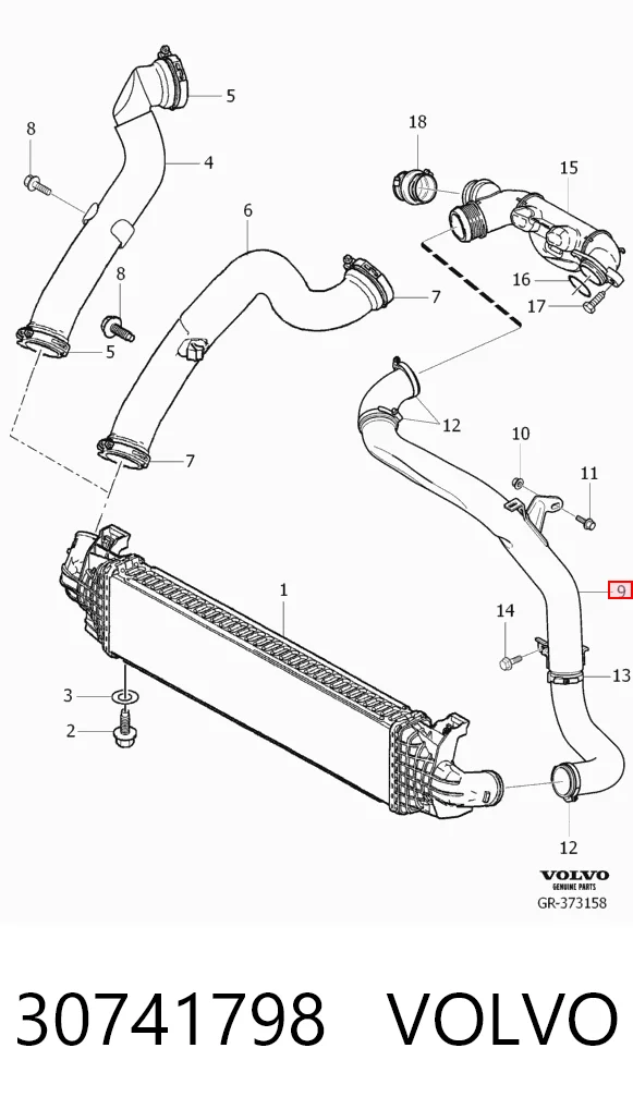 Шланг интеркуллера DP Group FS4266