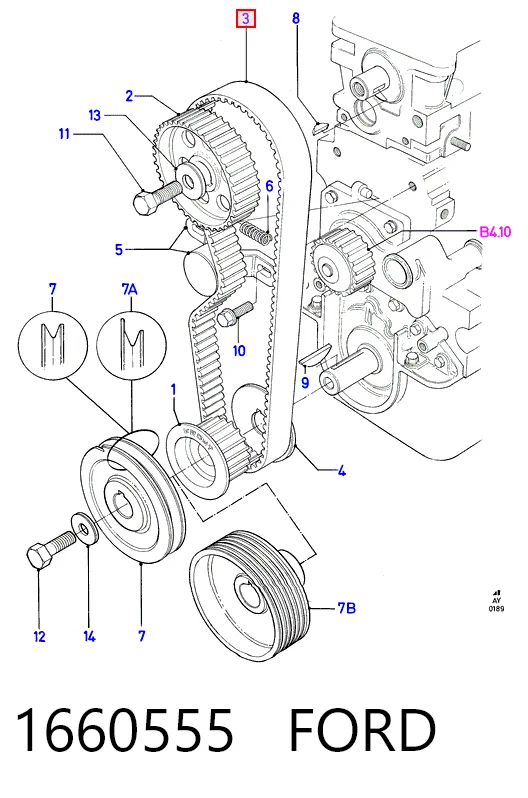  Ремень ГРМ Ford Escort 3