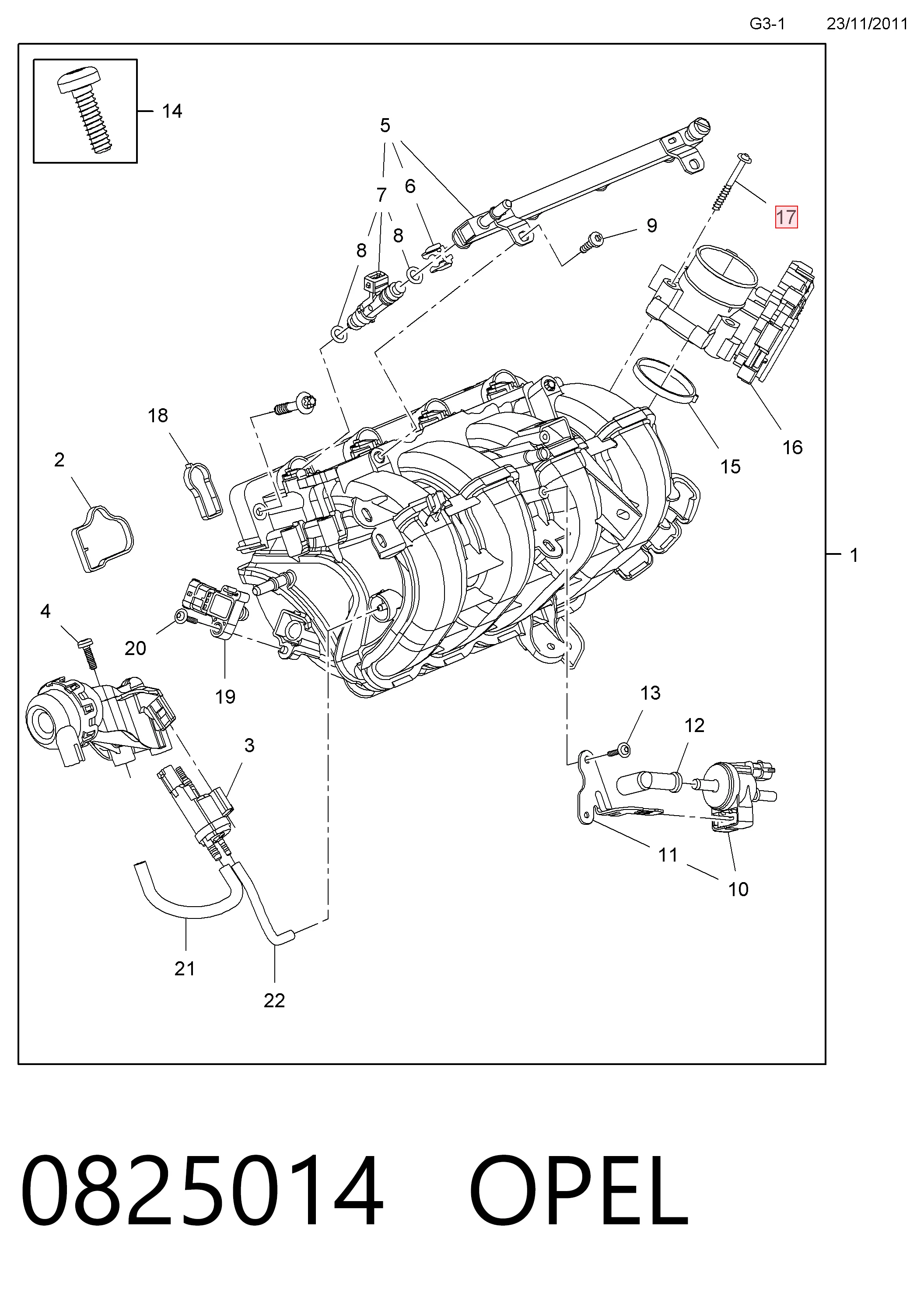 55563654 Opel 