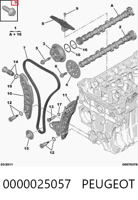 SKCC123F Dolz Комплект цепи
