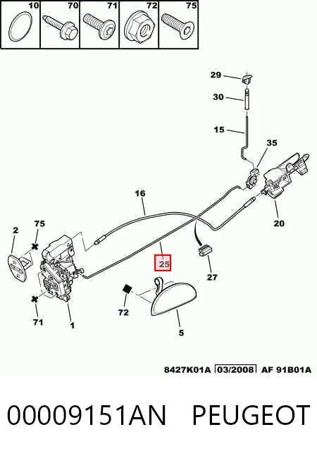 00009151AN Peugeot/Citroen