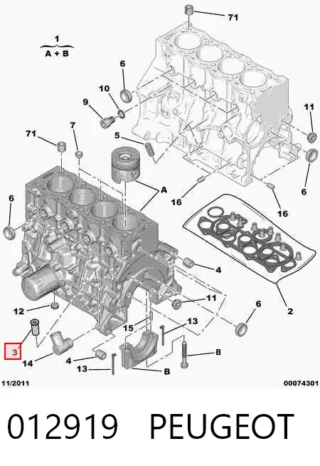 012919 Peugeot/Citroen