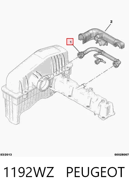 1192WZ Peugeot/Citroen Шланг для удаления воздуха