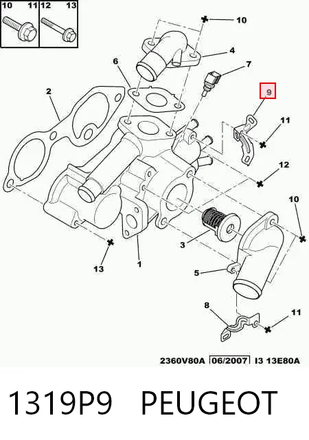 1319P9 Peugeot/Citroen