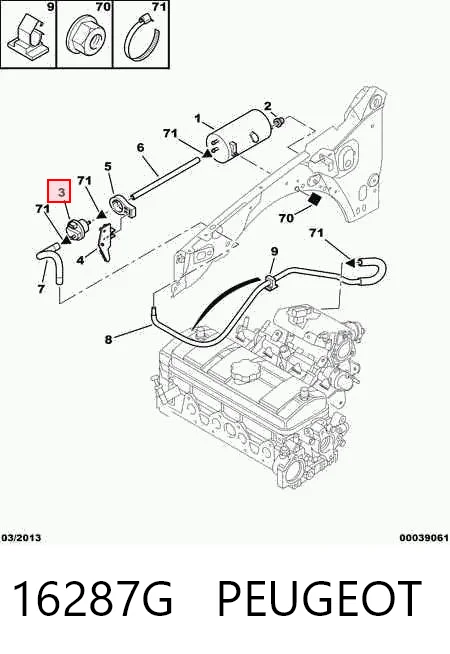 16287G Peugeot/Citroen Клапан вентиляции газов топливного бака