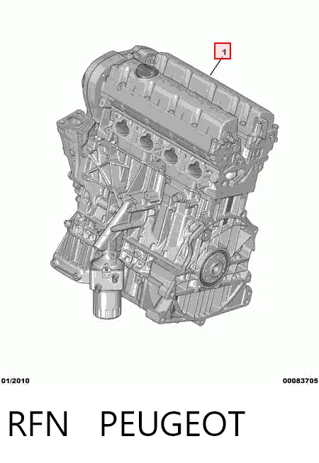 RFN Peugeot/Citroen Мотор в сборе