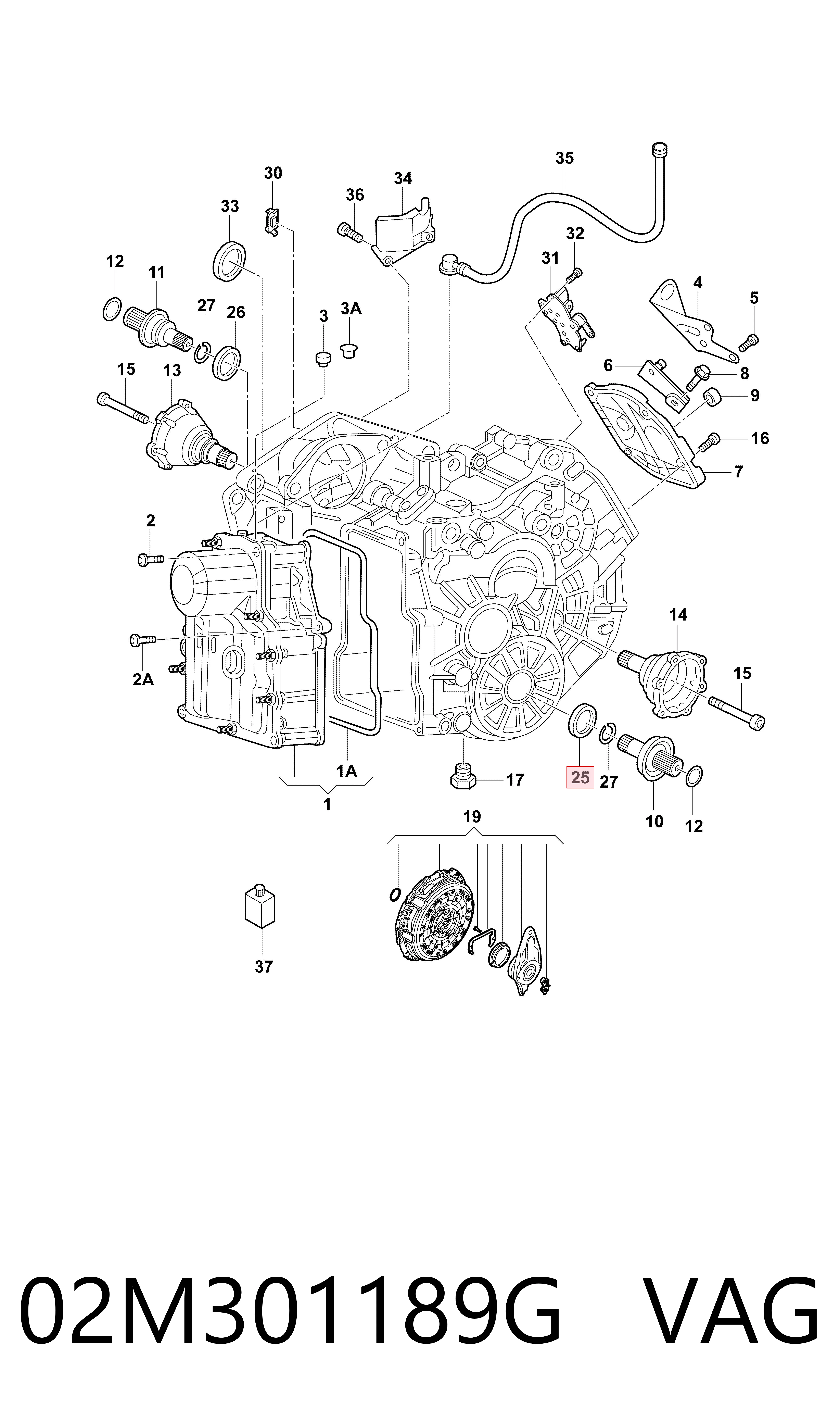 Сальник редуктора переднего моста VAG 02M301189G цена, от 8.48 USD