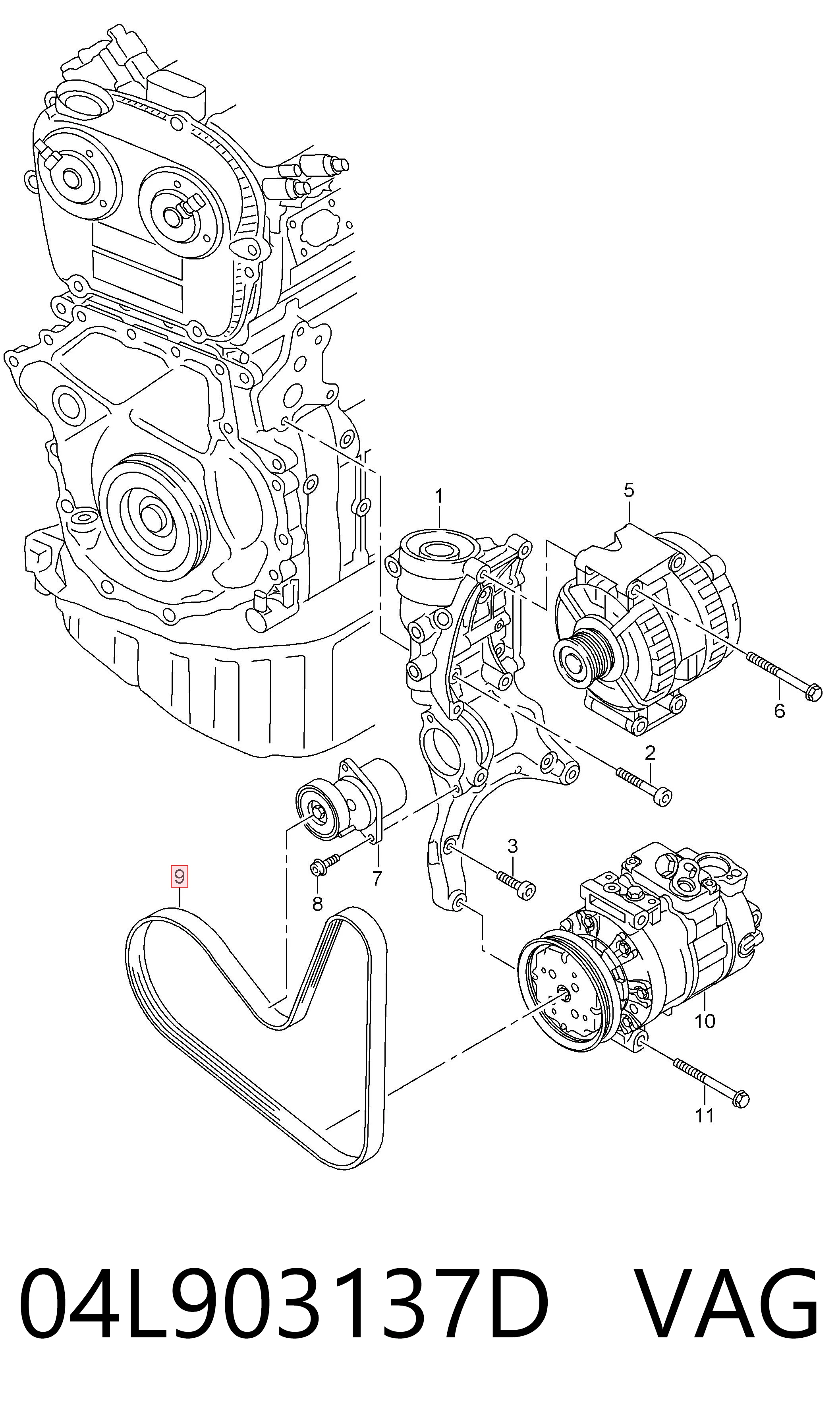 04L903137D VAG Поликлиновый ремень