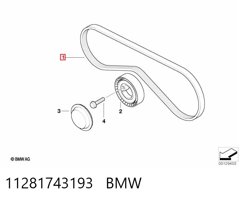 11281743193 BMW Поликлиновый ремень